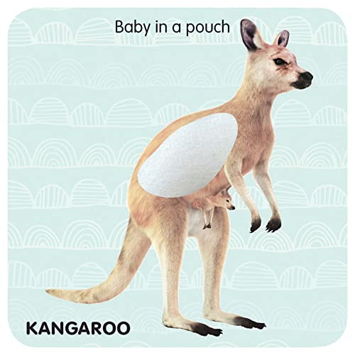 Dreamland Touch & Feel-Jungle Animals Book