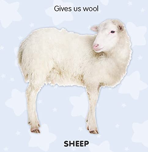 Dreamland Touch & Feel-Farm Animals