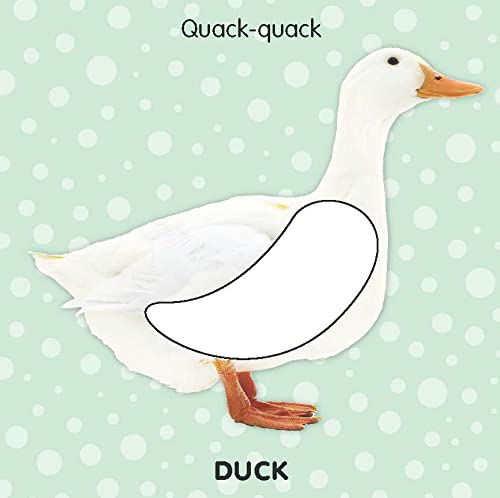 Dreamland Touch & Feel-Farm Animals