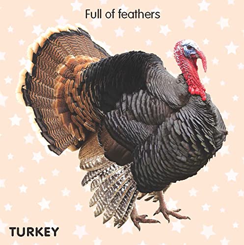Dreamland Touch & Feel-Farm Animals