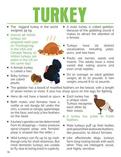 Dreamland Animals and Birds Mini-Pedia for Kids Age 5-15 years