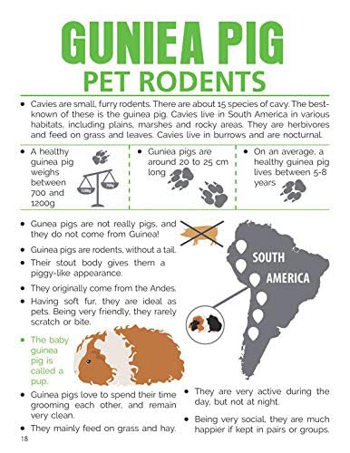 Dreamland Animals and Birds Mini-Pedia for Kids Age 5-15 years
