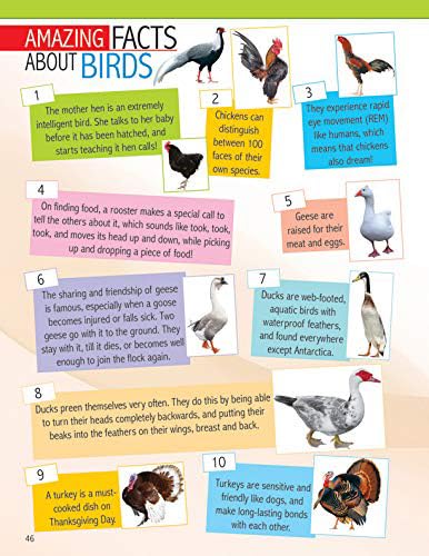 Dreamland Animals and Birds Mini-Pedia for Kids Age 5-15 years