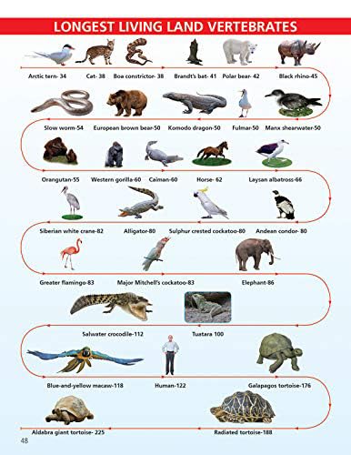 Dreamland Animals and Birds Mini-Pedia for Kids Age 5-15 years