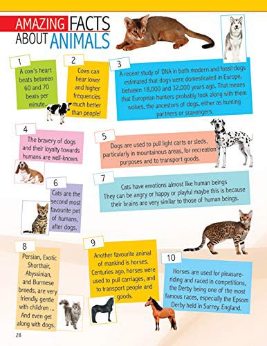 Dreamland Animals and Birds Mini-Pedia for Kids Age 5-15 years