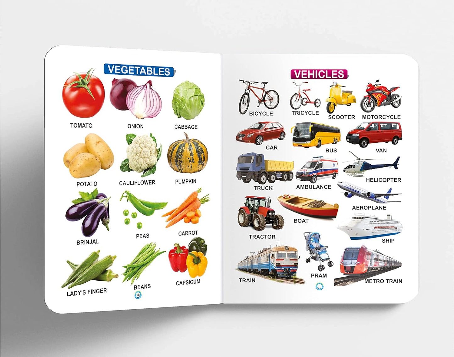 Oxford My First ABC Board Book (Single Picture)