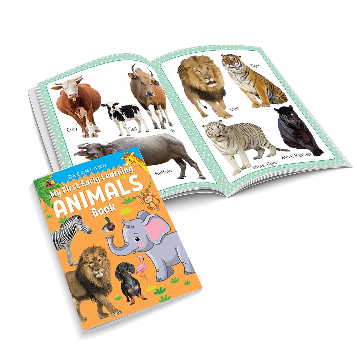 Dreamland My First Early Learning Pack of 10 Books for Kids