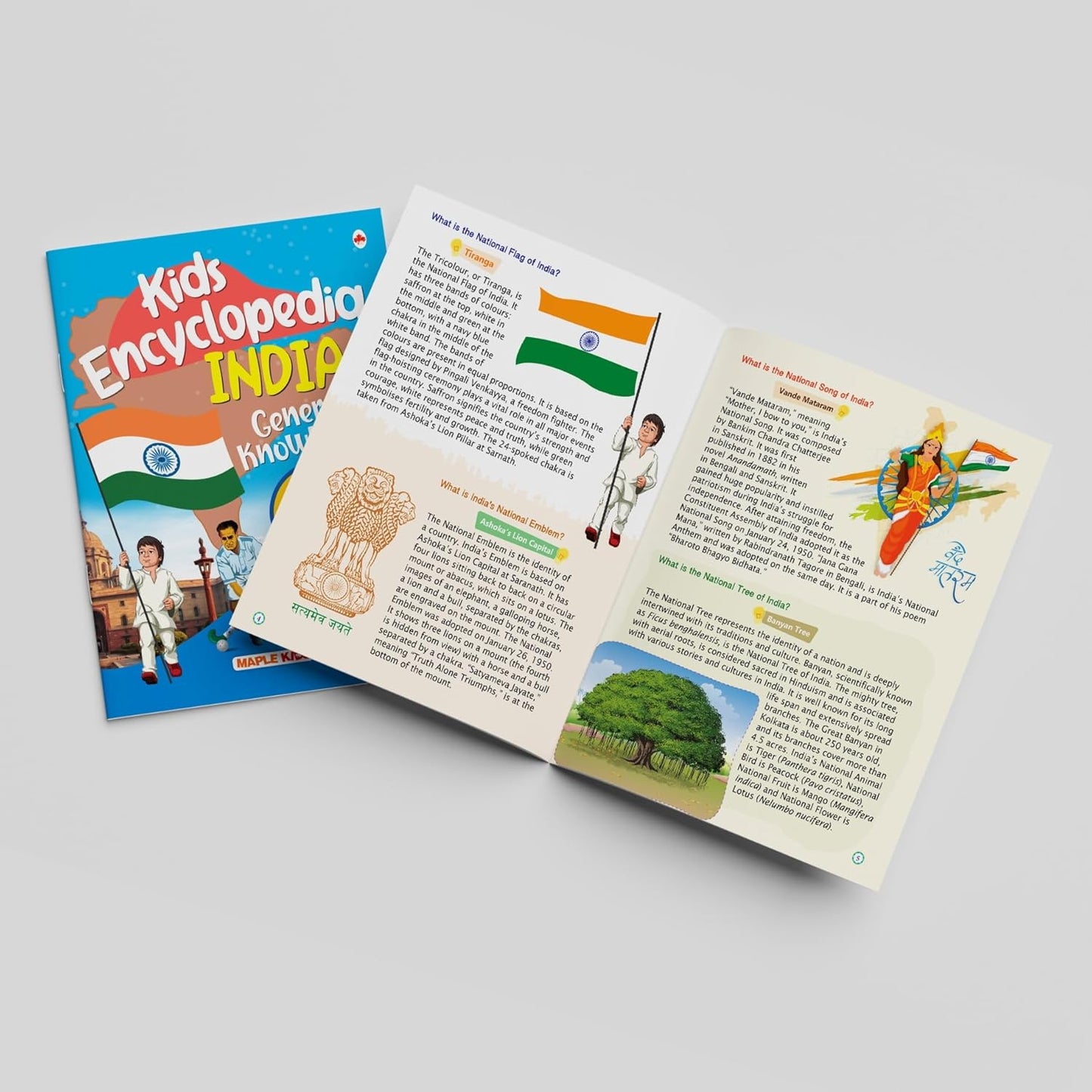 Maple Kids Encyclopedia - India - General Knowledge - Questions and Answers about India. Paperback