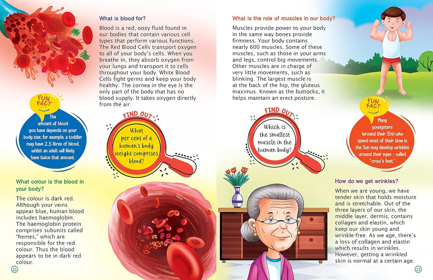 Maple Kids Encyclopedia - Science - Knowledge Book for Kids - Picture Book for Kids. Paperback