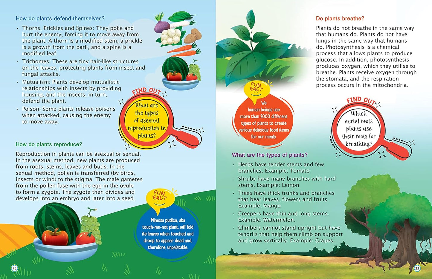 Maple Kids Encyclopedia - Science - Knowledge Book for Kids - Picture Book for Kids. Paperback