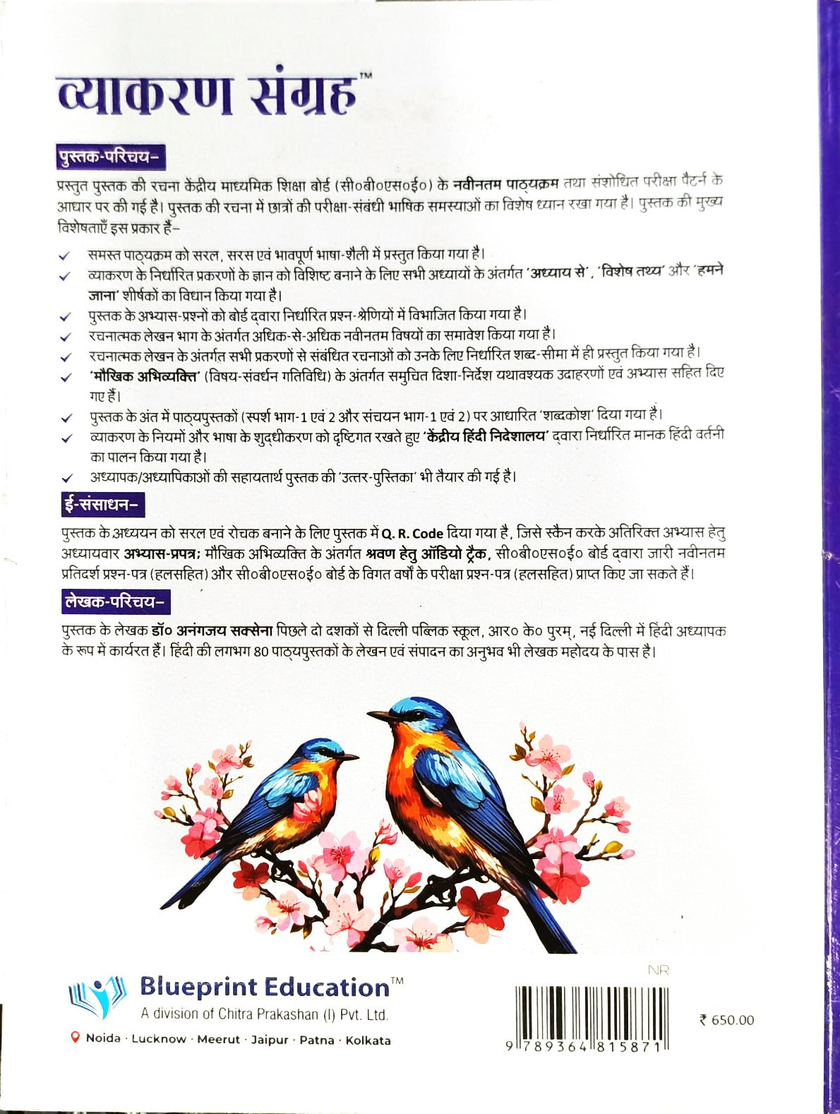 Blueprint Hindi Vyakaran Sangrah for Class 9 & 10 - Latest for 2025-26 Session. Paperback