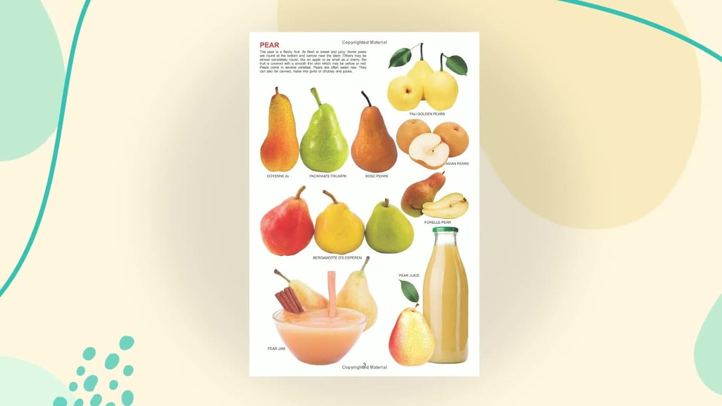 Dreamland My Jumbo Book of Fruits - A3 Book Size