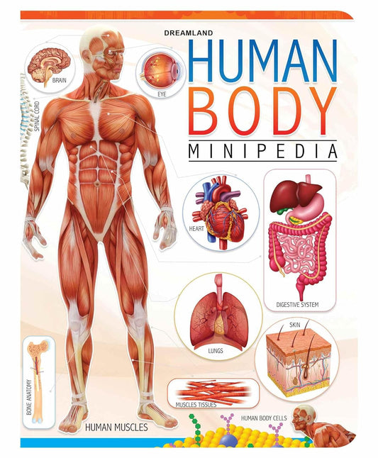 DreamlandHumanBodyMinipedia