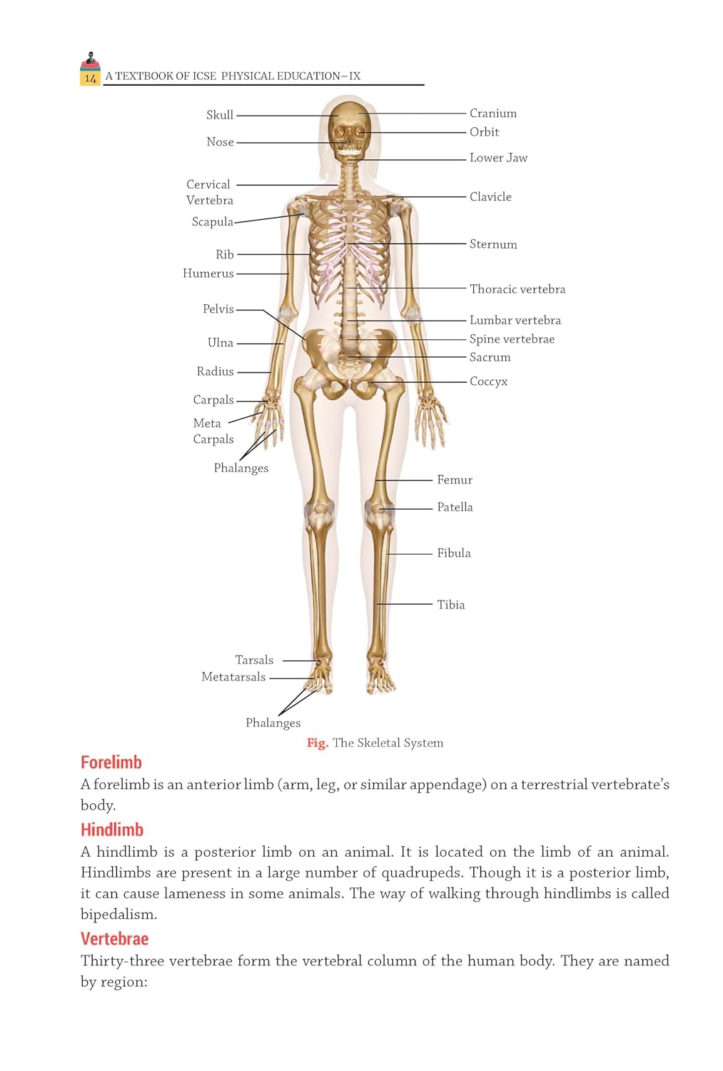 Oswal Gurukul ICSE A Text Book of Physical Education for Class 9 - Latest for 2024-25 Session