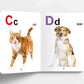 Oxford My First ABC Board Book (Single Picture)