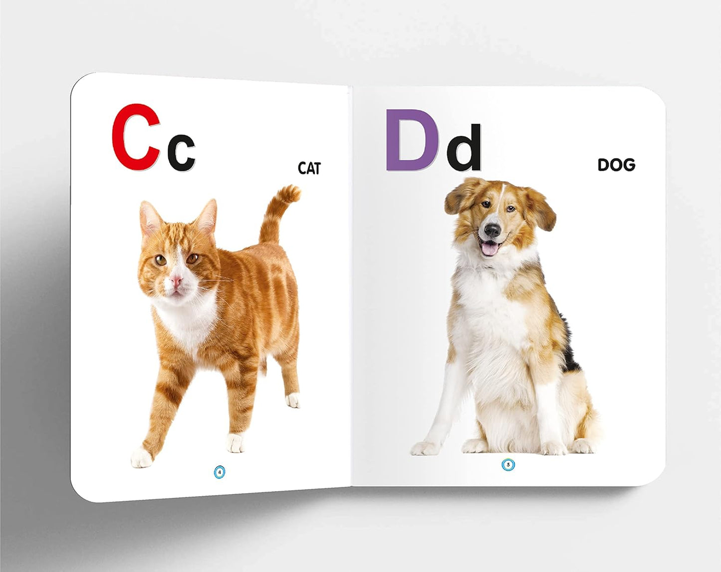 Oxford My First ABC Board Book (Single Picture)