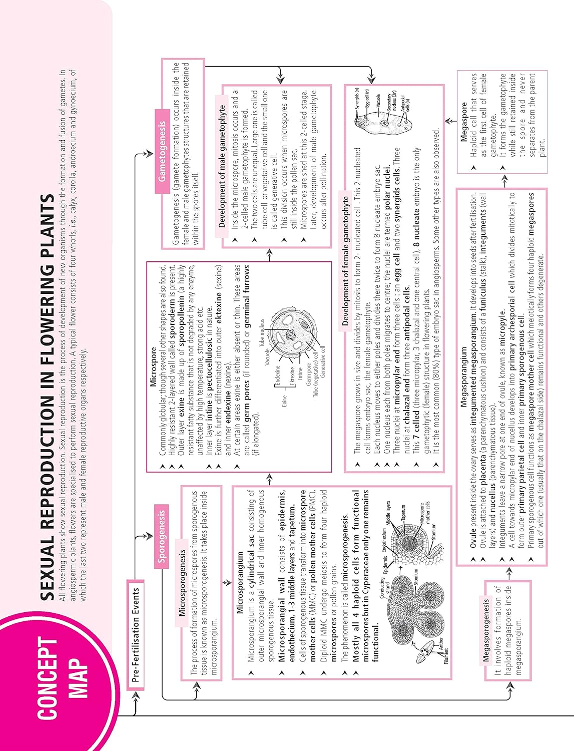 MTG CBSE 100 Percent Biology For Class 12 - Latest for 2024-25 Session