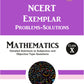 Arundeep's Self Help to CBSE NCERT Exemplar Problems Solved Mathematics For Class 10 - Latest for 2025-26 Session (Based on Latest CBSE Syllabus)