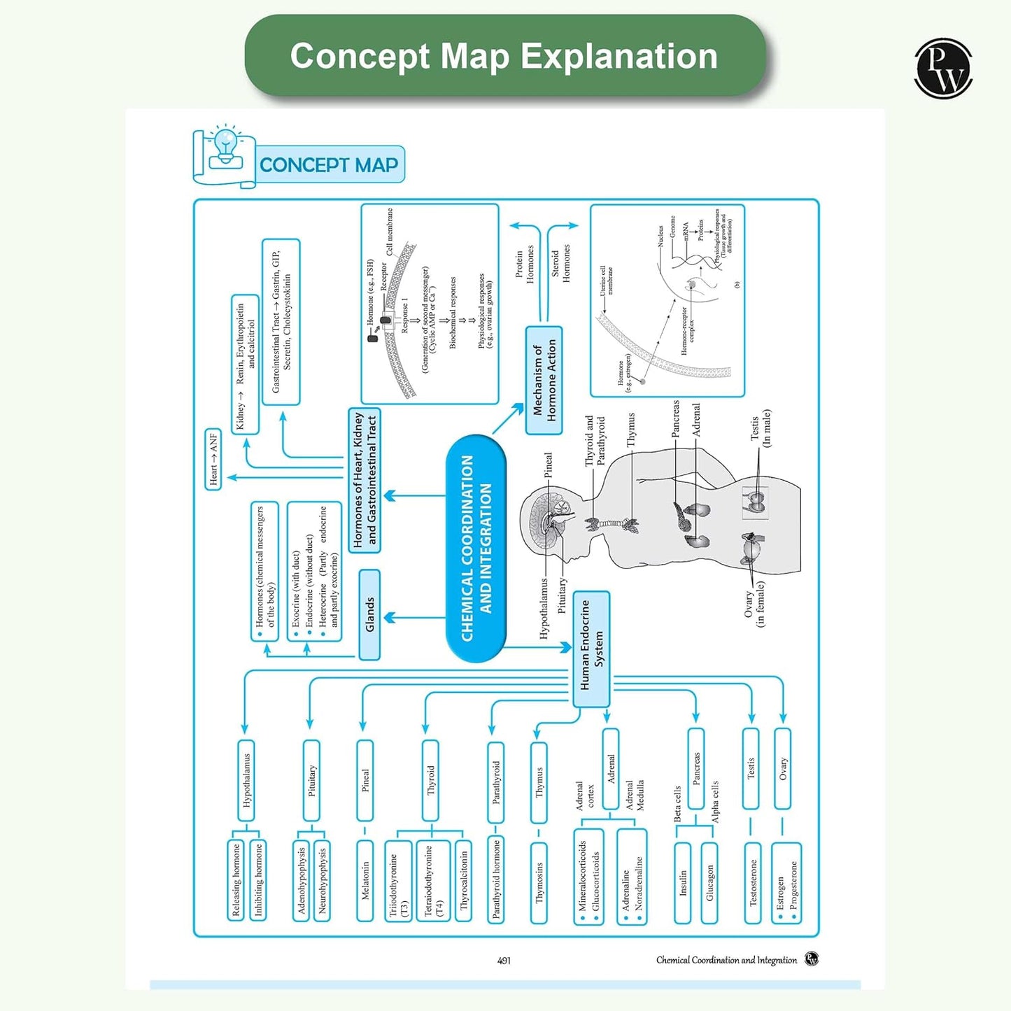 Physics Wallah (PW) CBSE Question & Concept Bank (QCB) Biology for Class 11 - Chapter-wise and Topic-wise Solved Questions with Competency Based Question - for 2026 Examination
