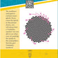 NCERT Ganita Prakash Textbook of Mathematics For Grade 7 (Part I) - (Code 774) - Latest Edition