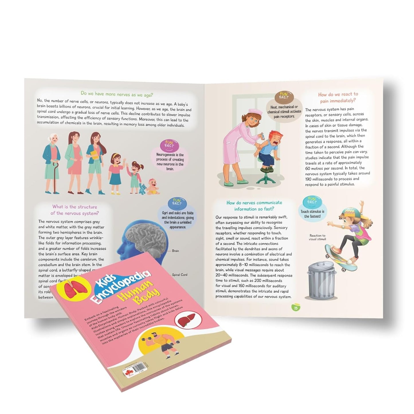 Maple Kids Encyclopedia - Human Body - Questions and Answer with Pictures - Knowledge Books for Kids