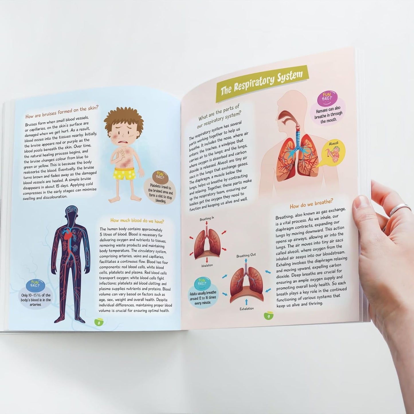 Maple Kids Encyclopedia - Human Body - Questions and Answer with Pictures - Knowledge Books for Kids