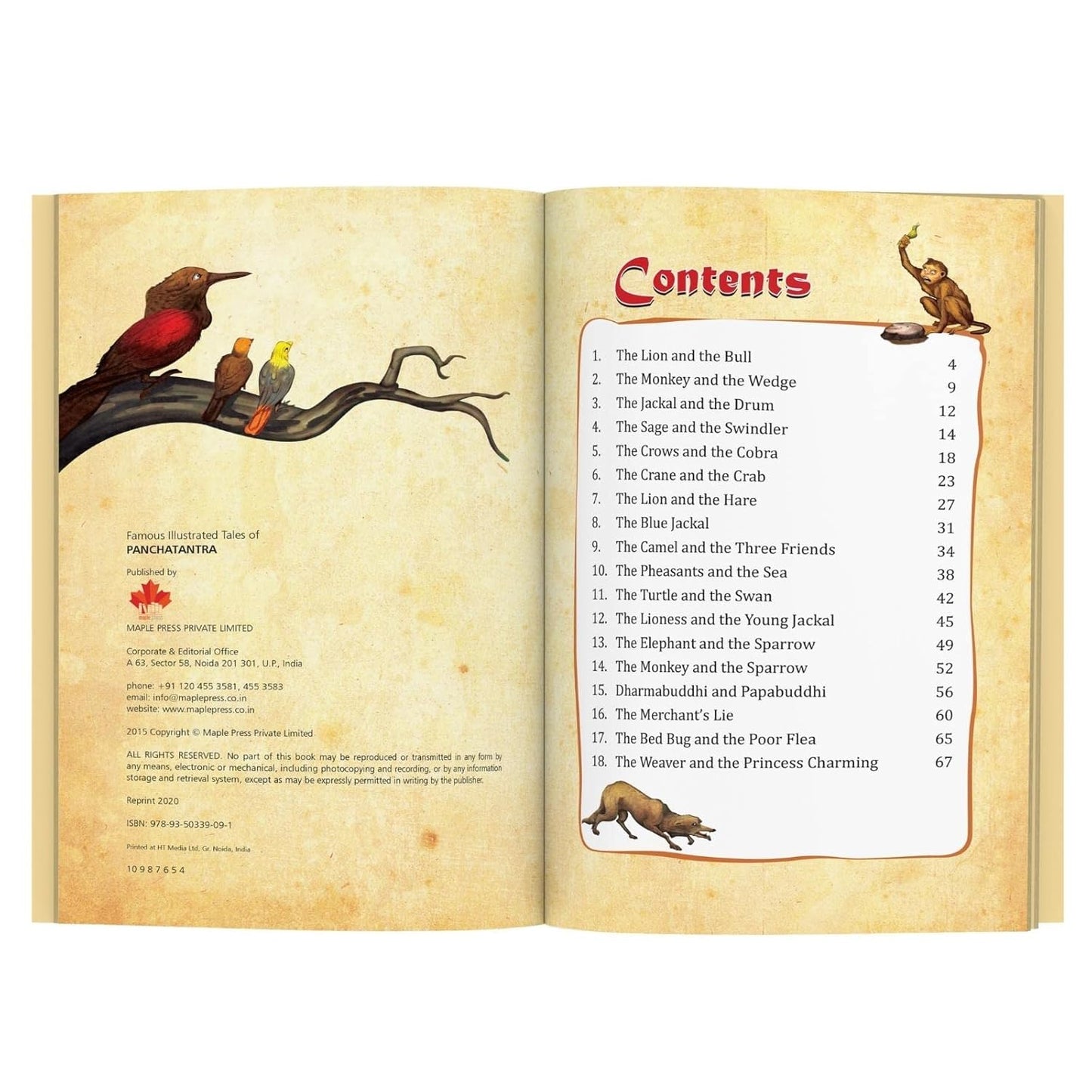 Maple Famous Illustrated Tales of Panchatantra - Story book for Kids - Book for Kids 6+ Years Old. Paperback