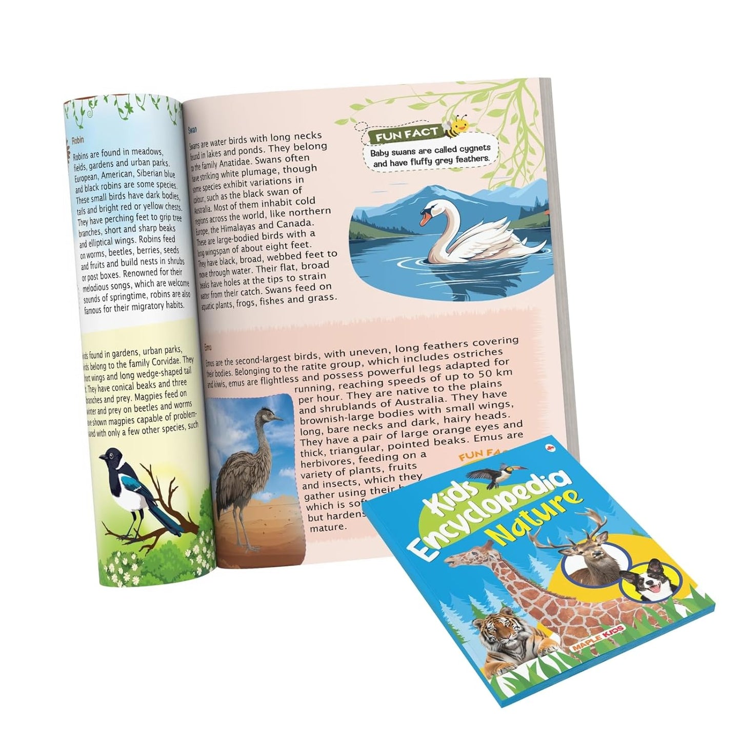 Maple Kids Encyclopedia - Nature - Knowledge Book for Kids - Picture Book for Kids. Paperback
