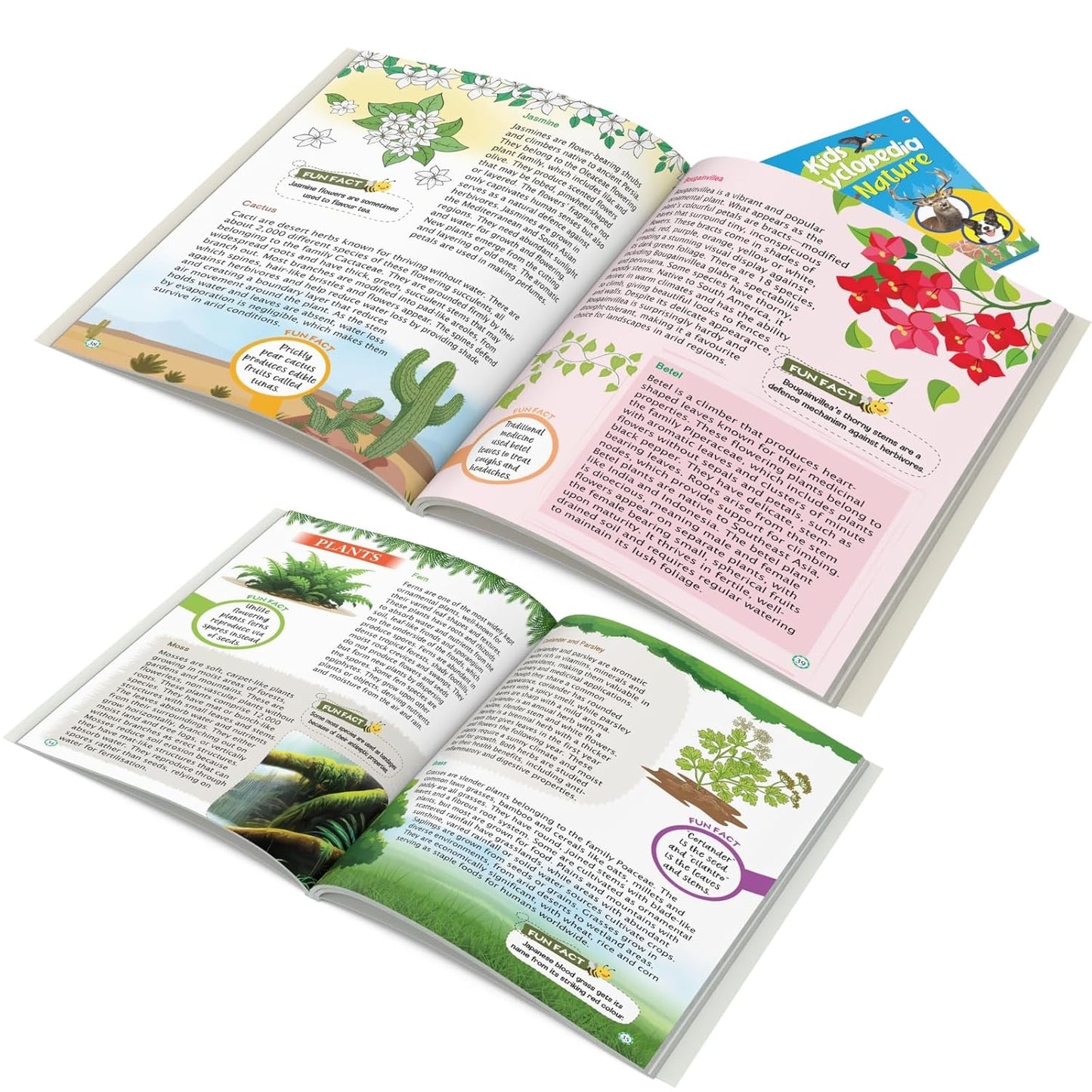 Maple Kids Encyclopedia - Nature - Knowledge Book for Kids - Picture Book for Kids. Paperback