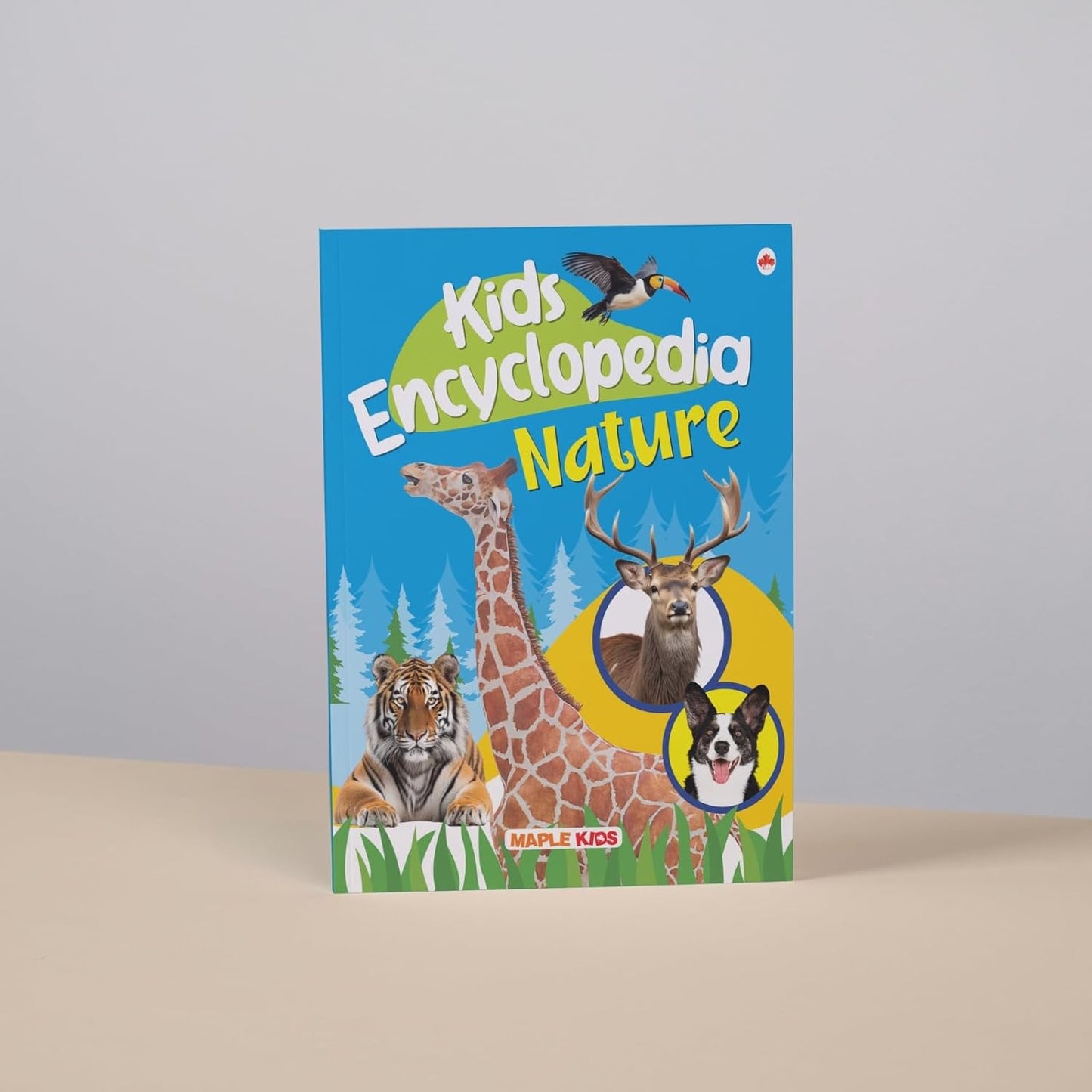 Maple Kids Encyclopedia - Nature - Knowledge Book for Kids - Picture Book for Kids. Paperback