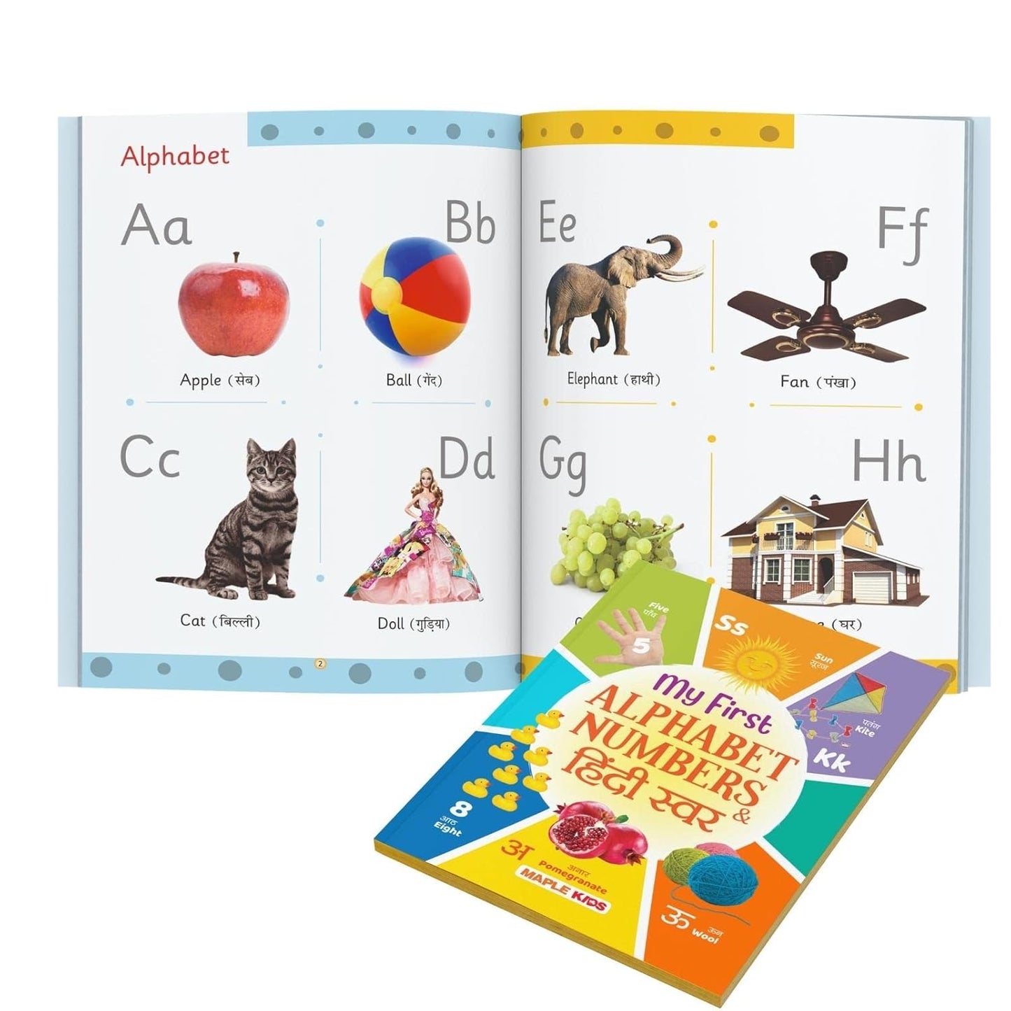 Maple Picture Books Collection for Early Learning for Kids (Set of 10 Books) – Wipe and Clean - 160 Pages - Alphabet, Colours, Opposites, Numbers, Animals - preschool, baby, toddler. Paperback