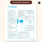 Physics Wallah (PW) CBSE Question & Concept Bank (QCB) Physics, Chemistry & Mathematics for Class 11 - Set of 3 Books - Chapter-wise and Topic-wise Solved Questions with Competency Based Question - for 2026 Examination