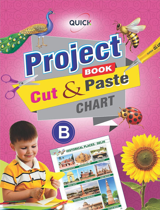 Unique Quick Project Book (Cut & Paste Chart) - B