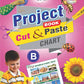 Unique Quick Project Book (Cut & Paste Chart) - B